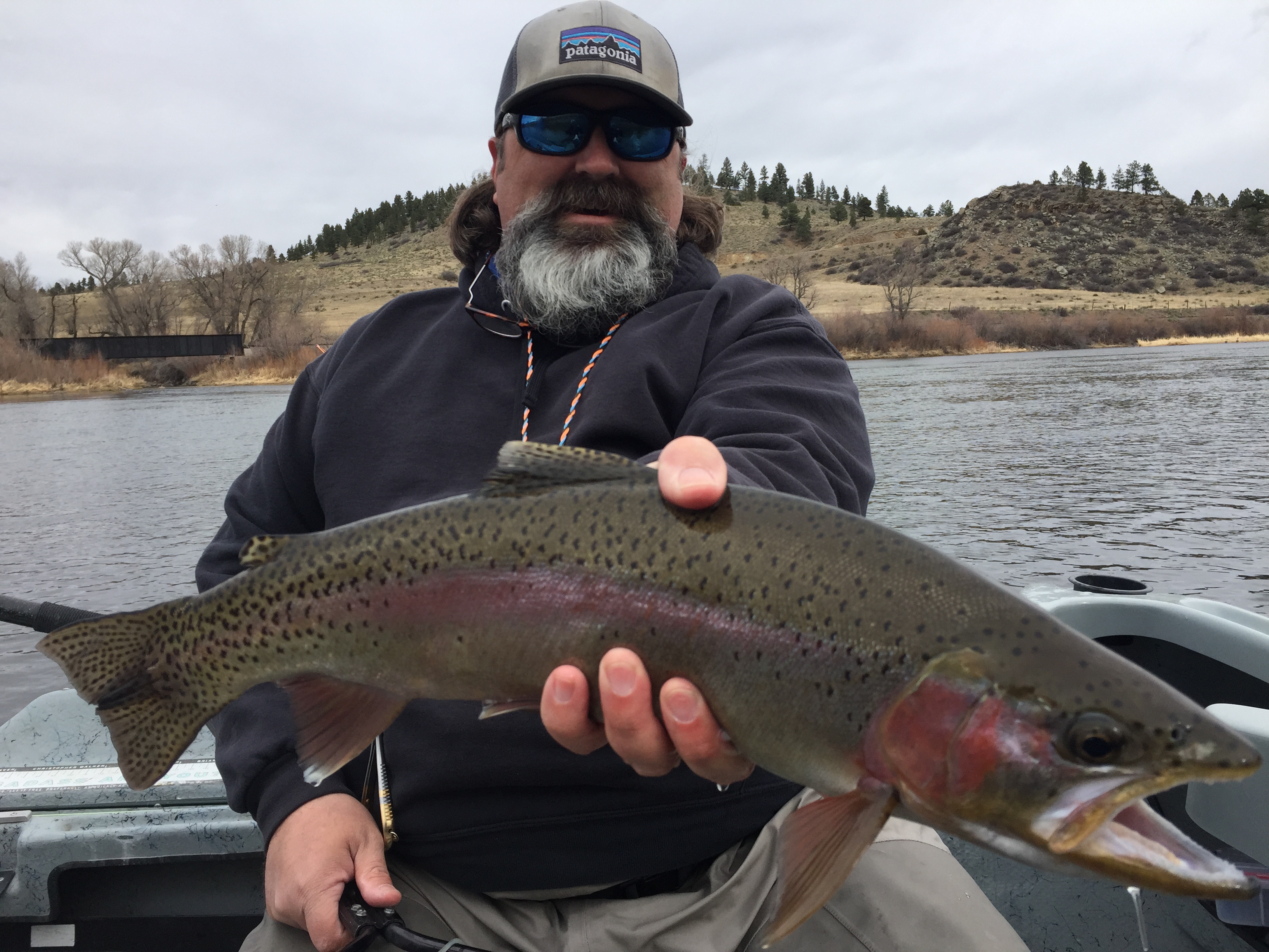 Mid Week Missouri River Fishing Report Wolf Creek Angler