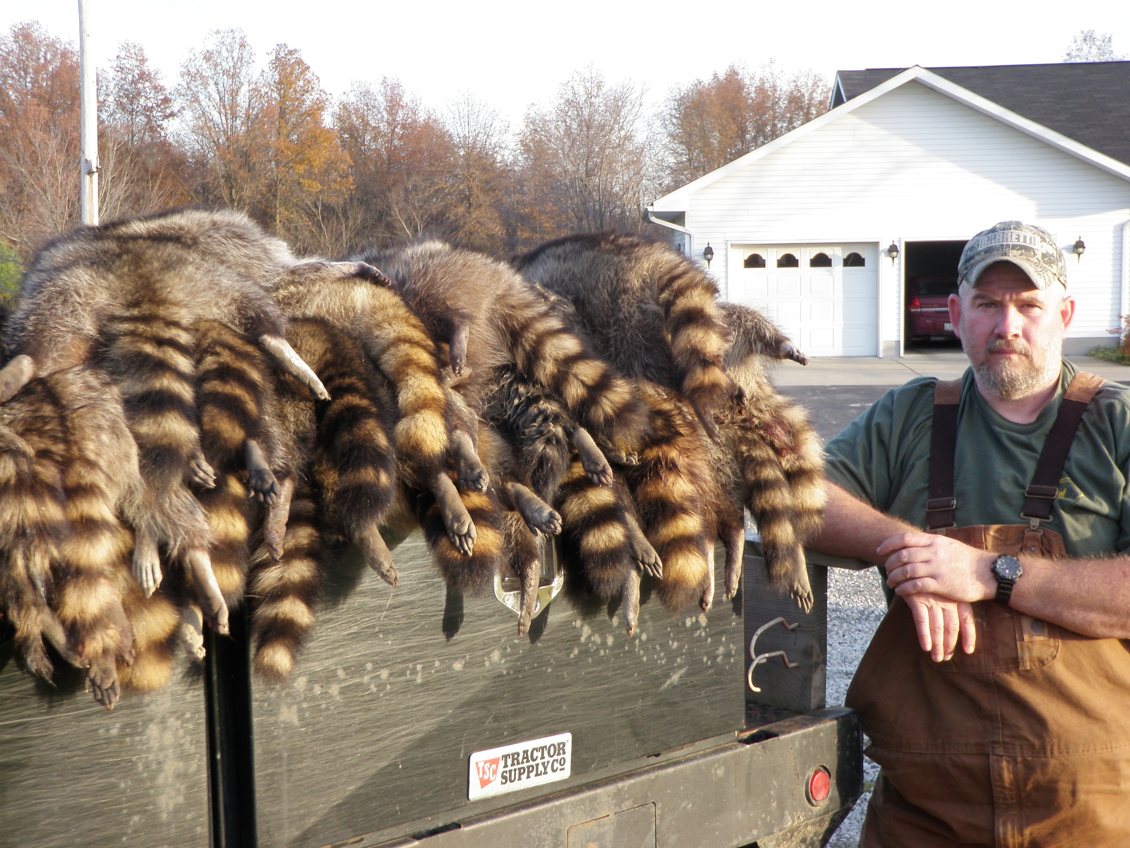 Coon Crush, Raccoon Bait is a great raccoon bait for dog proof traps