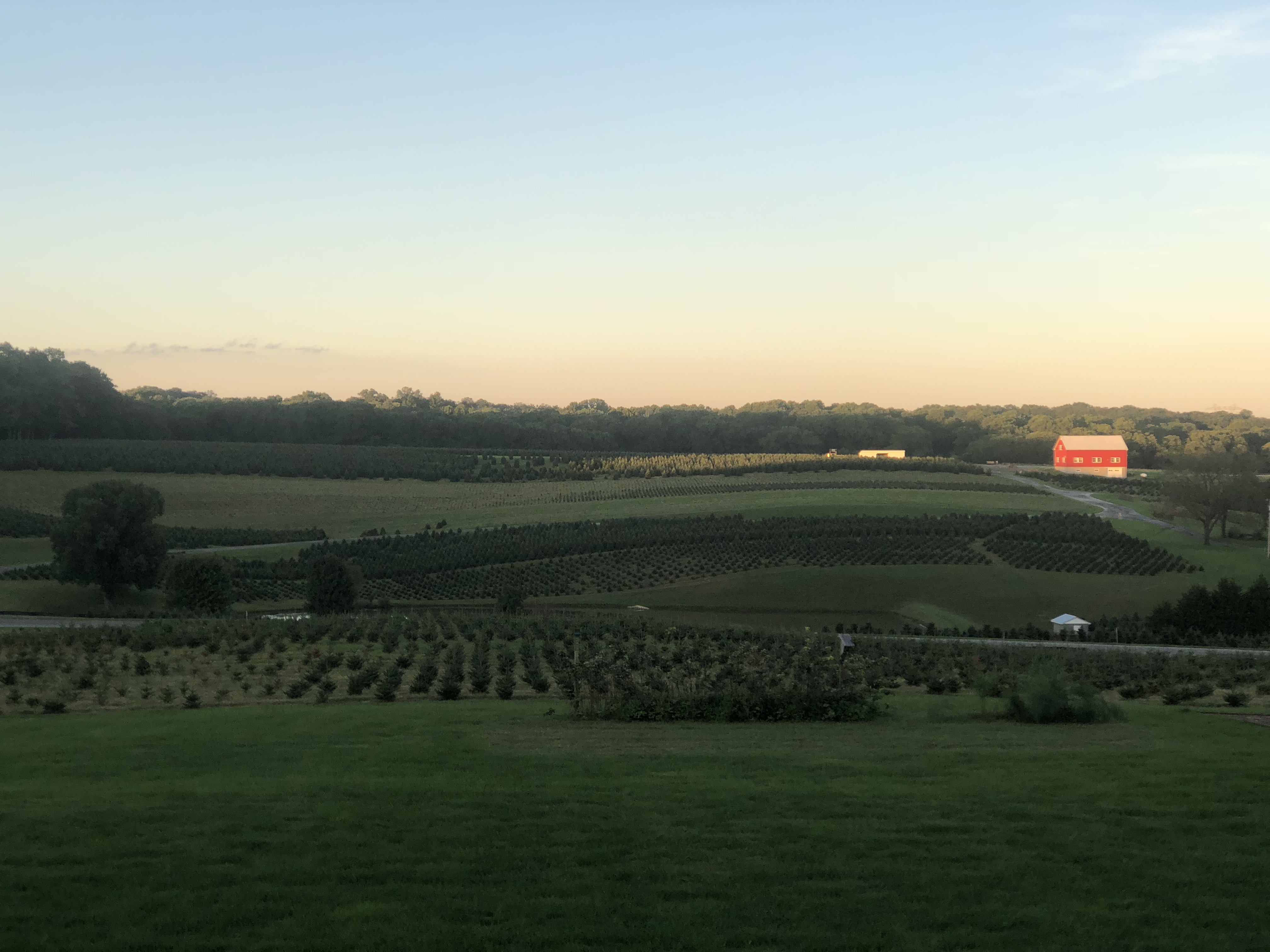 Nature Sunrise Pine Valley Farms