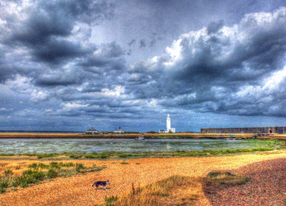 MilfordonSea Martin's Mag.