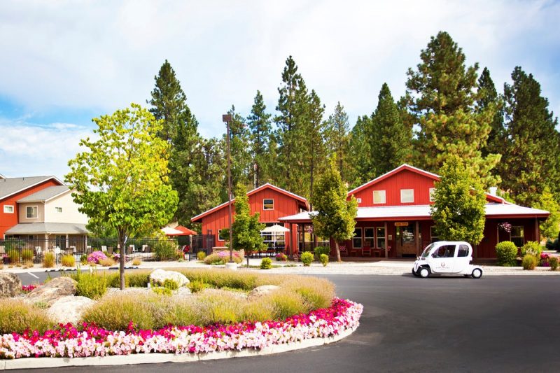 Pine Valley Ranch Wolff Services