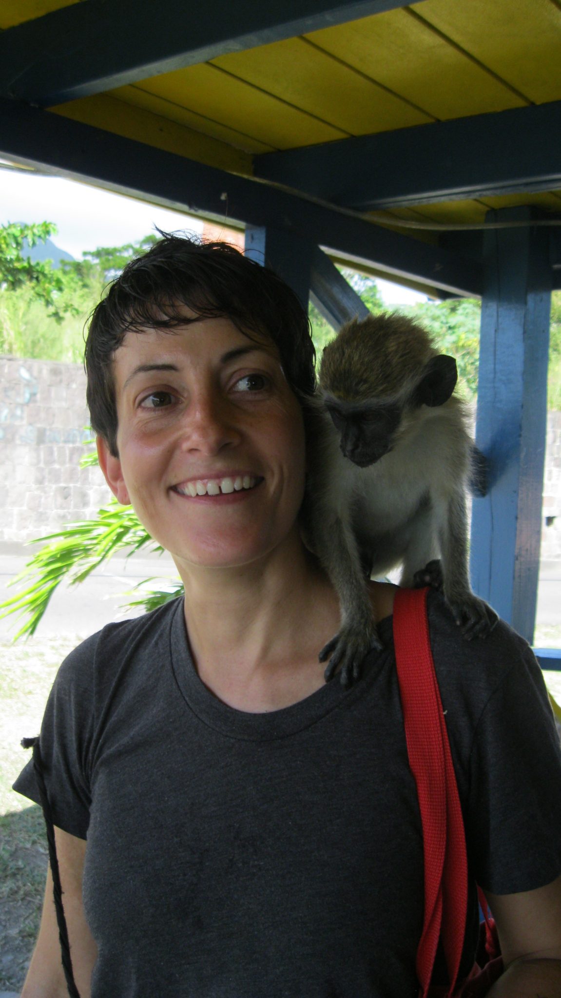 Dog boarding Brooklyn