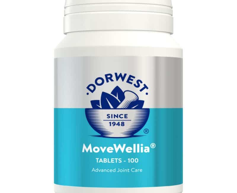 Dorwest MoveWellia 100 Tablets Wolfit. The Pet Shop in Tunbridge