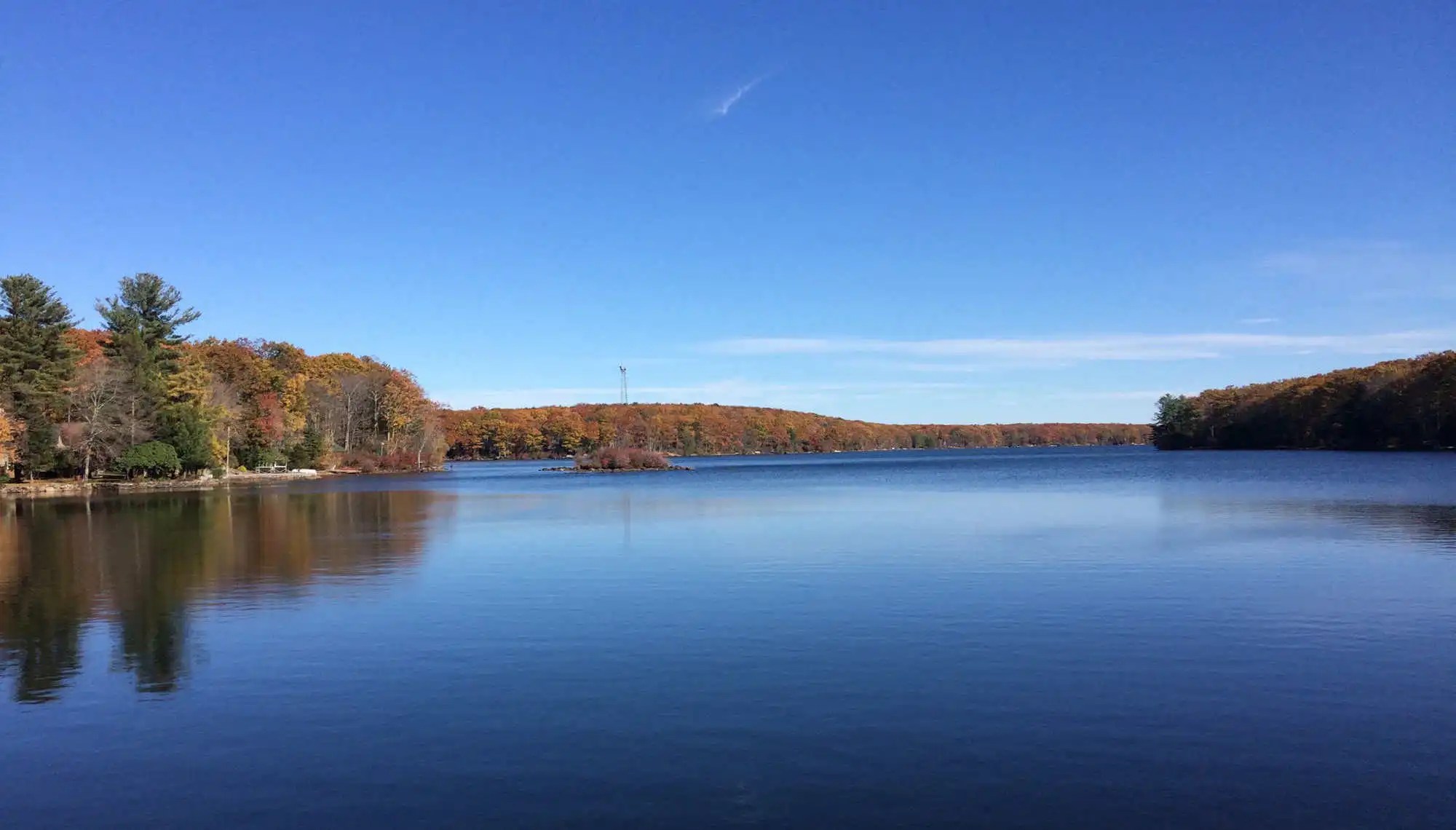 Wolf Lake, NY Forever Wild!