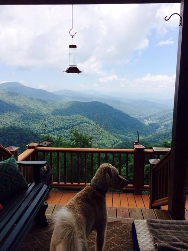 Photo Gallery Wolf Laurel Resort