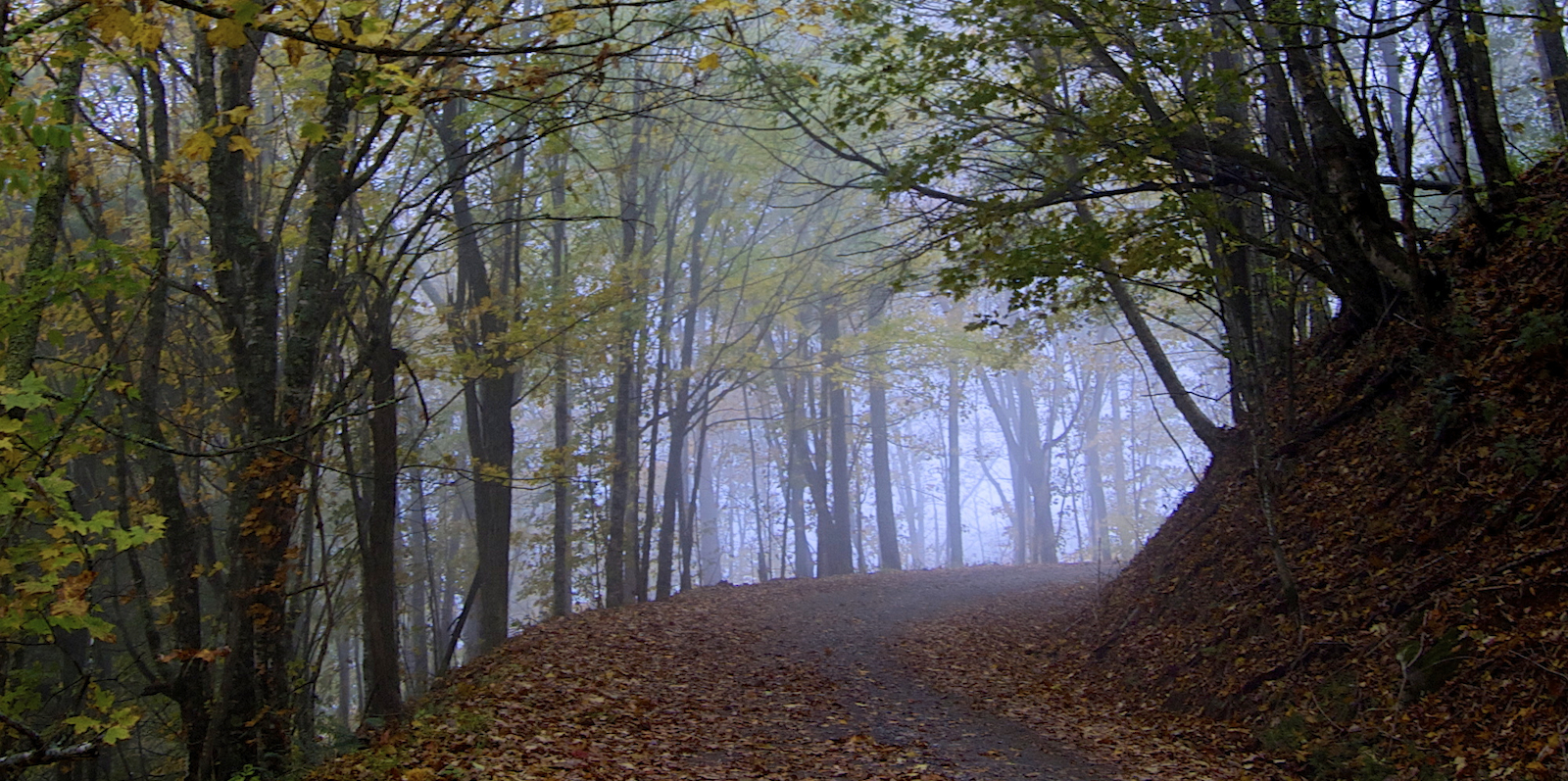 to the Community of Wolf Laurel NC Mountains