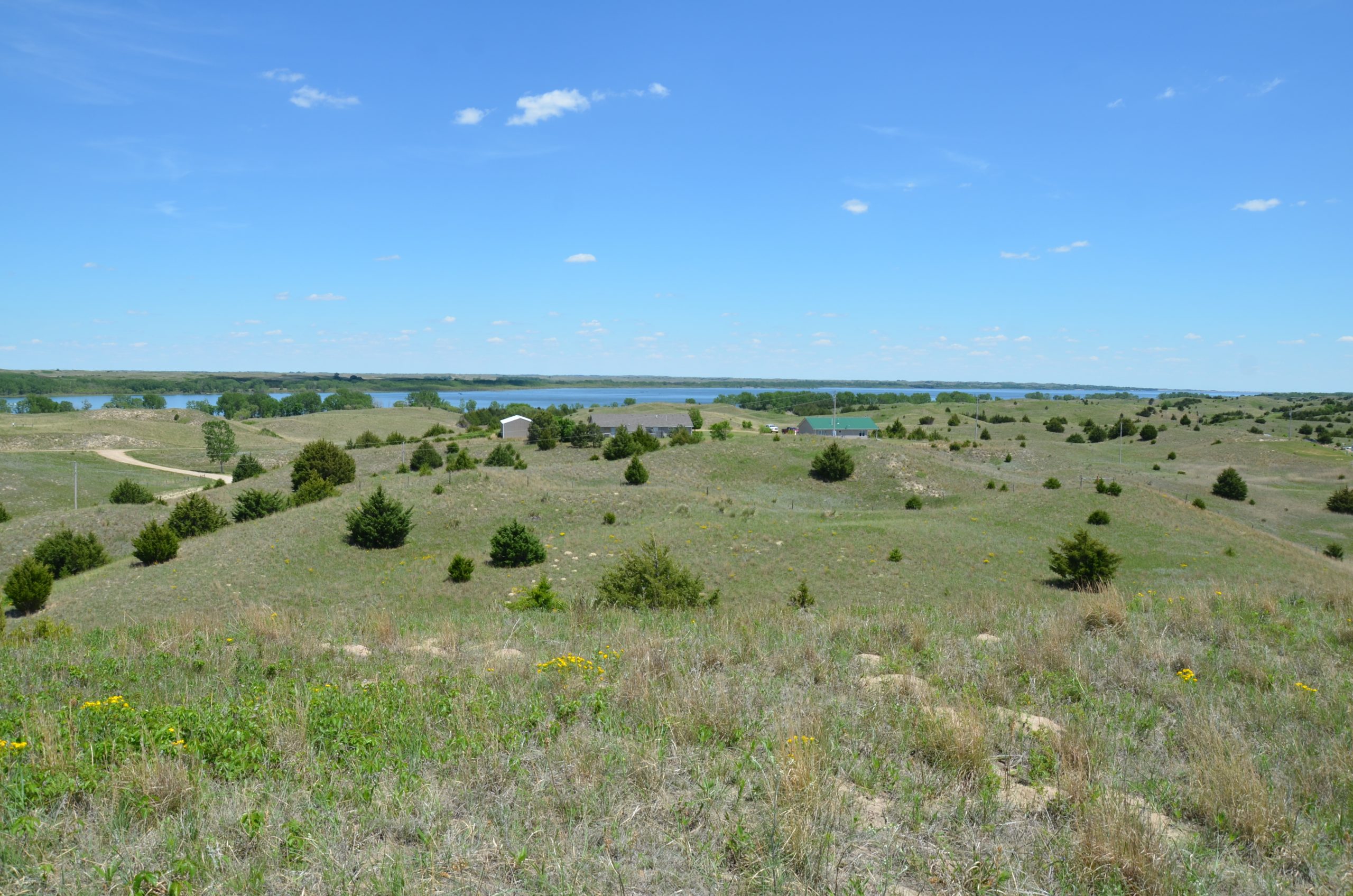 7.07+/ Acre Native Pasture Calamus Lake Lot On Yucca Road Wolf, Inc. Auction and Real Estate