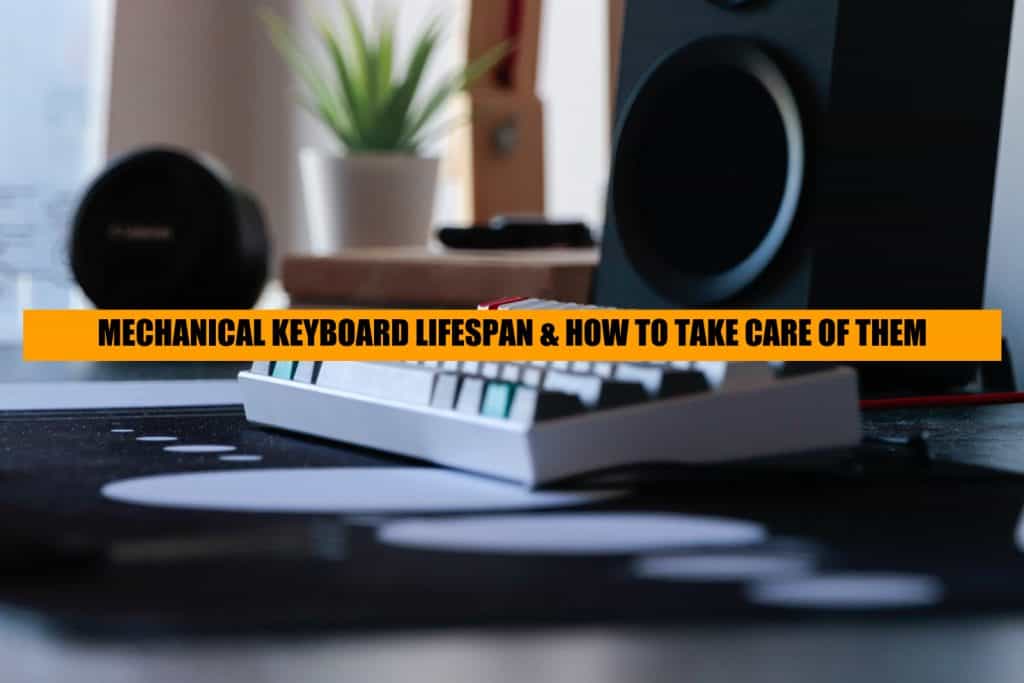 How Long Do Mechanical Keyboards Last? [Answered] WolfofDesk