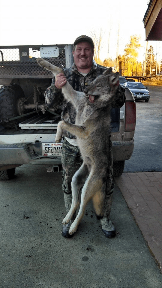 Wisconsin DNR Appeals Wolf Hunt Order Citing Damage it Would Cause to