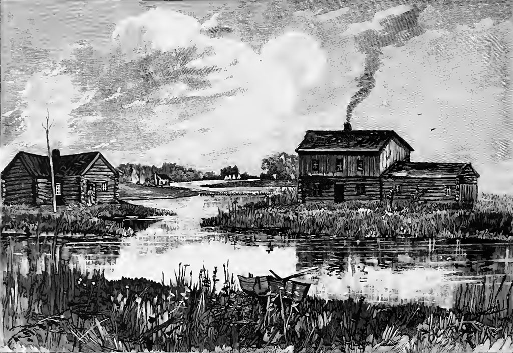 What is Wolf Point? Wolf Point Audio