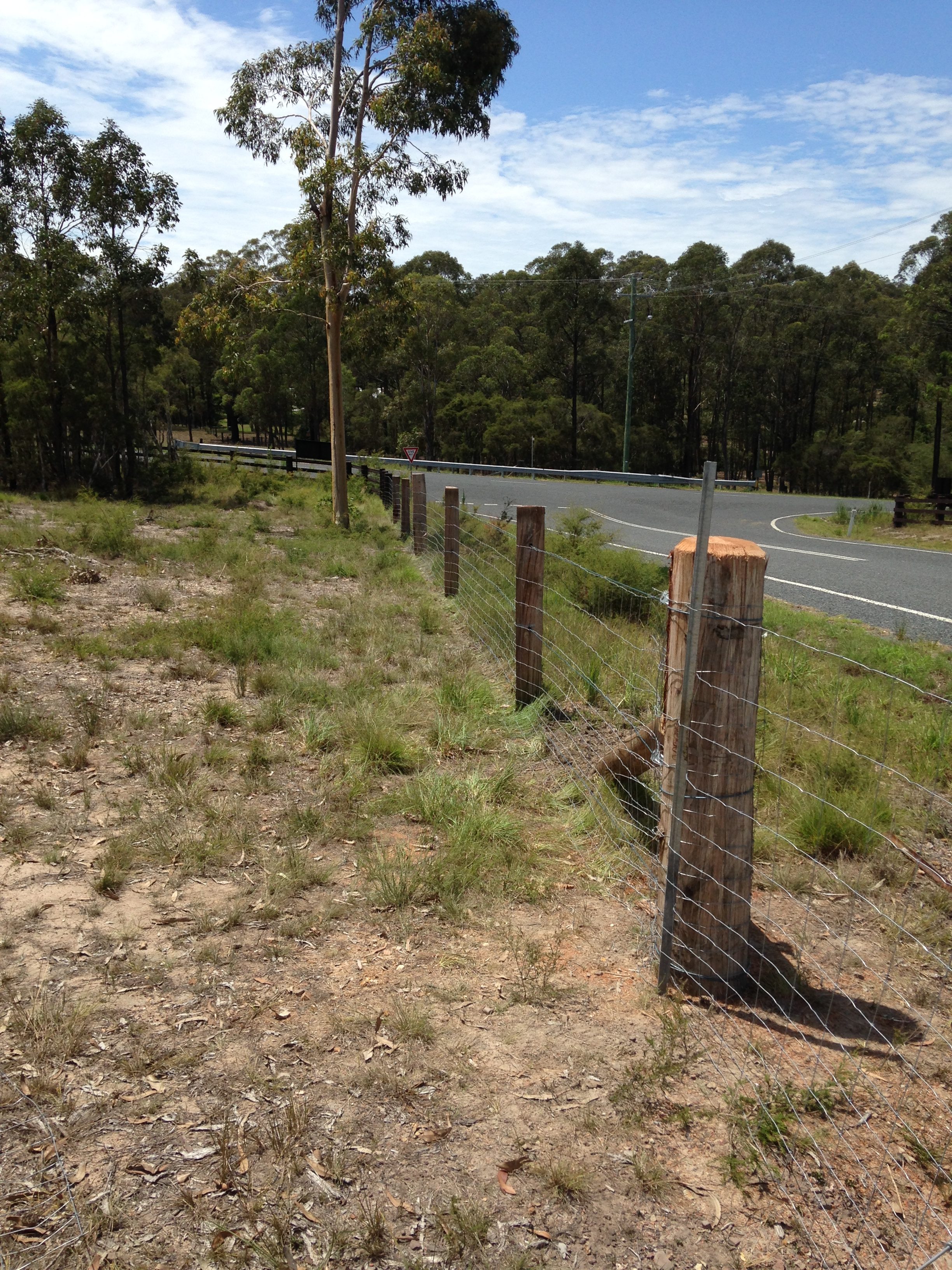 Pat Clarence Town Wolf Rural