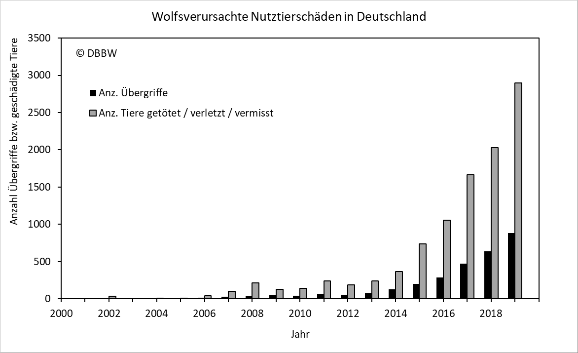 Wolfsschäden ohne Ende