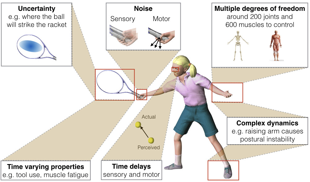 Overview Sensorimotor Learning Group (Wolpertlab)