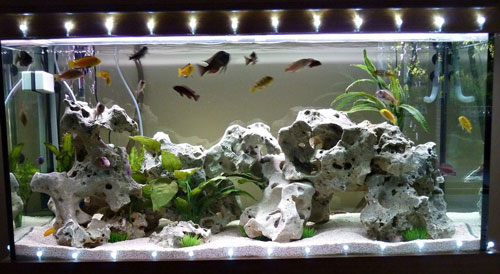 A luz nas horas de aquário