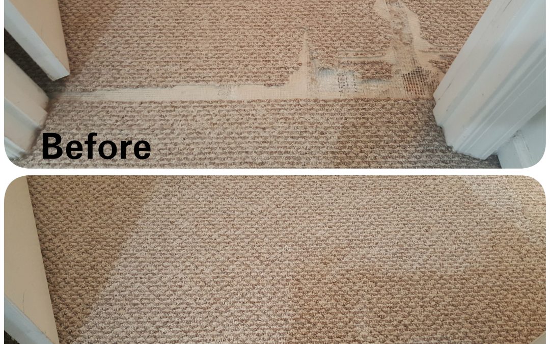 Carpet Cleaning South Florida WOM Carpet cleaning, carpet repair