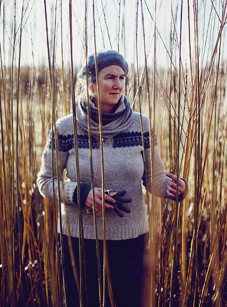 Annemarie O’Sullivan Women Create