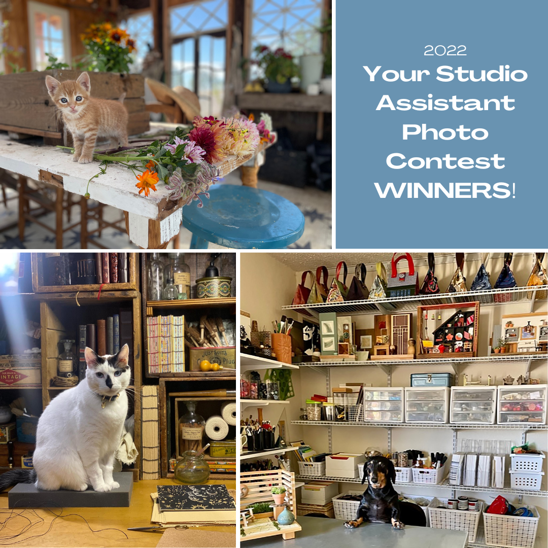Your Studio Assistant Photo Contest Winners! Women Create