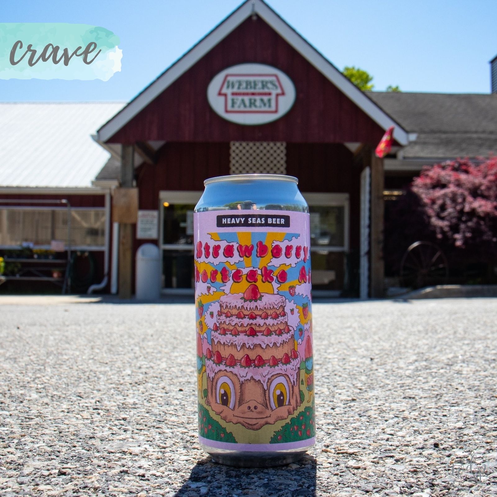 Crave Strawberry Shortcake Ale Women's Daily Post