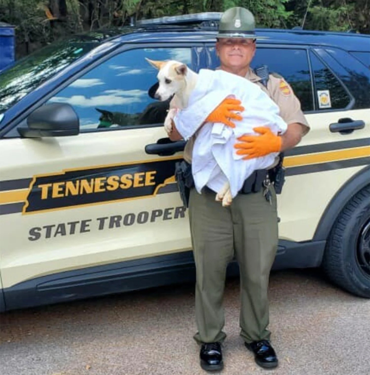 A Tennessee state trooper who saved a dog from extreme heat gives the