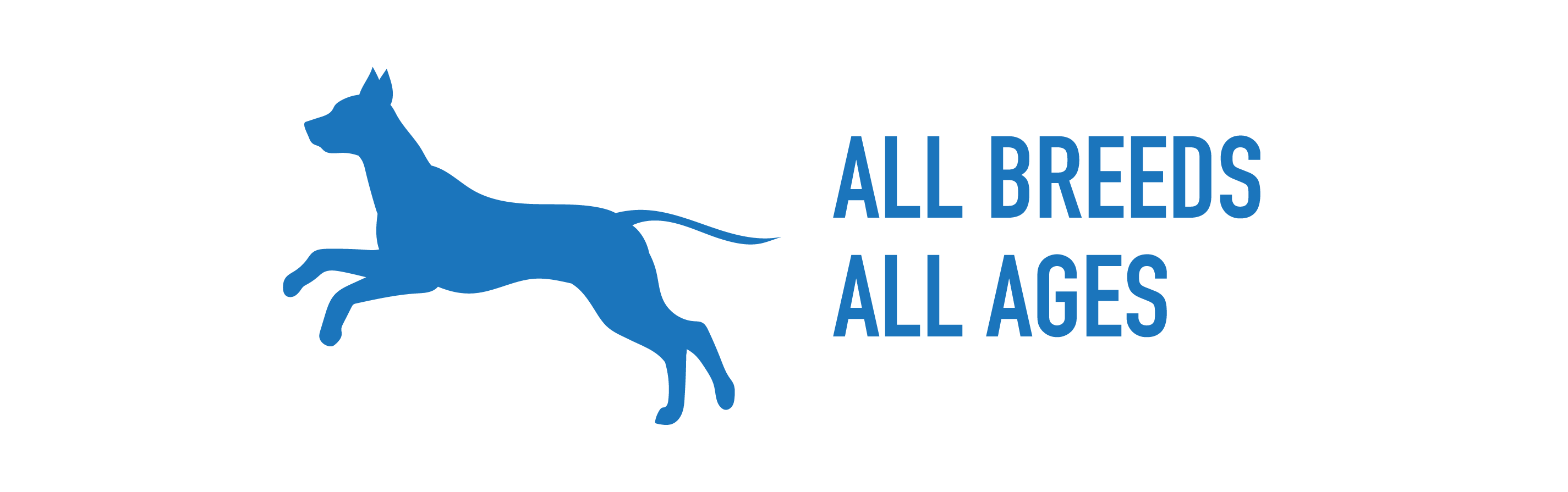 Wonder Dog Training Nashville's 1 InHome Dog Trainer