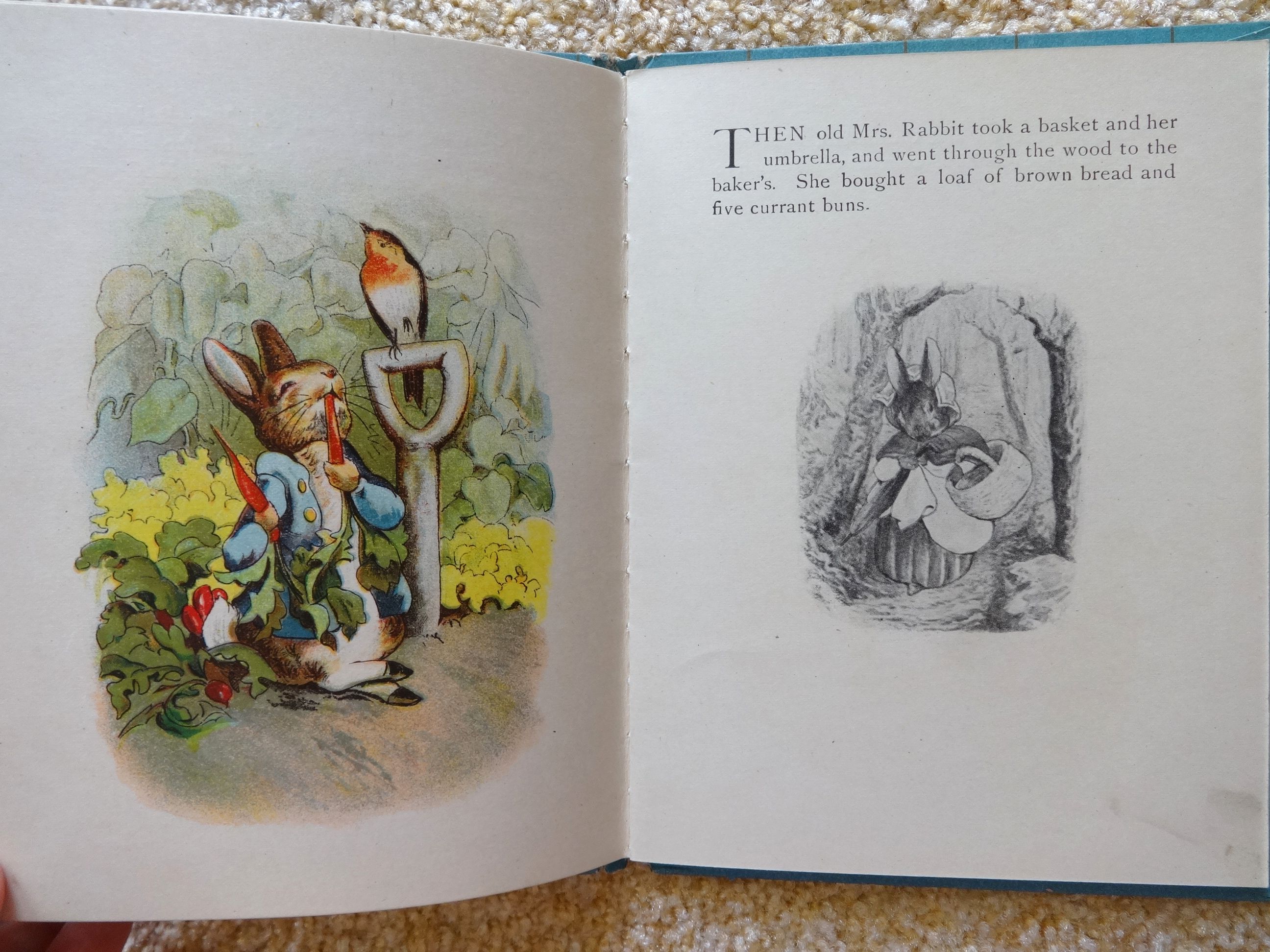 1908 Story of PETER RABBIT Book, Hayes Lithographing Co