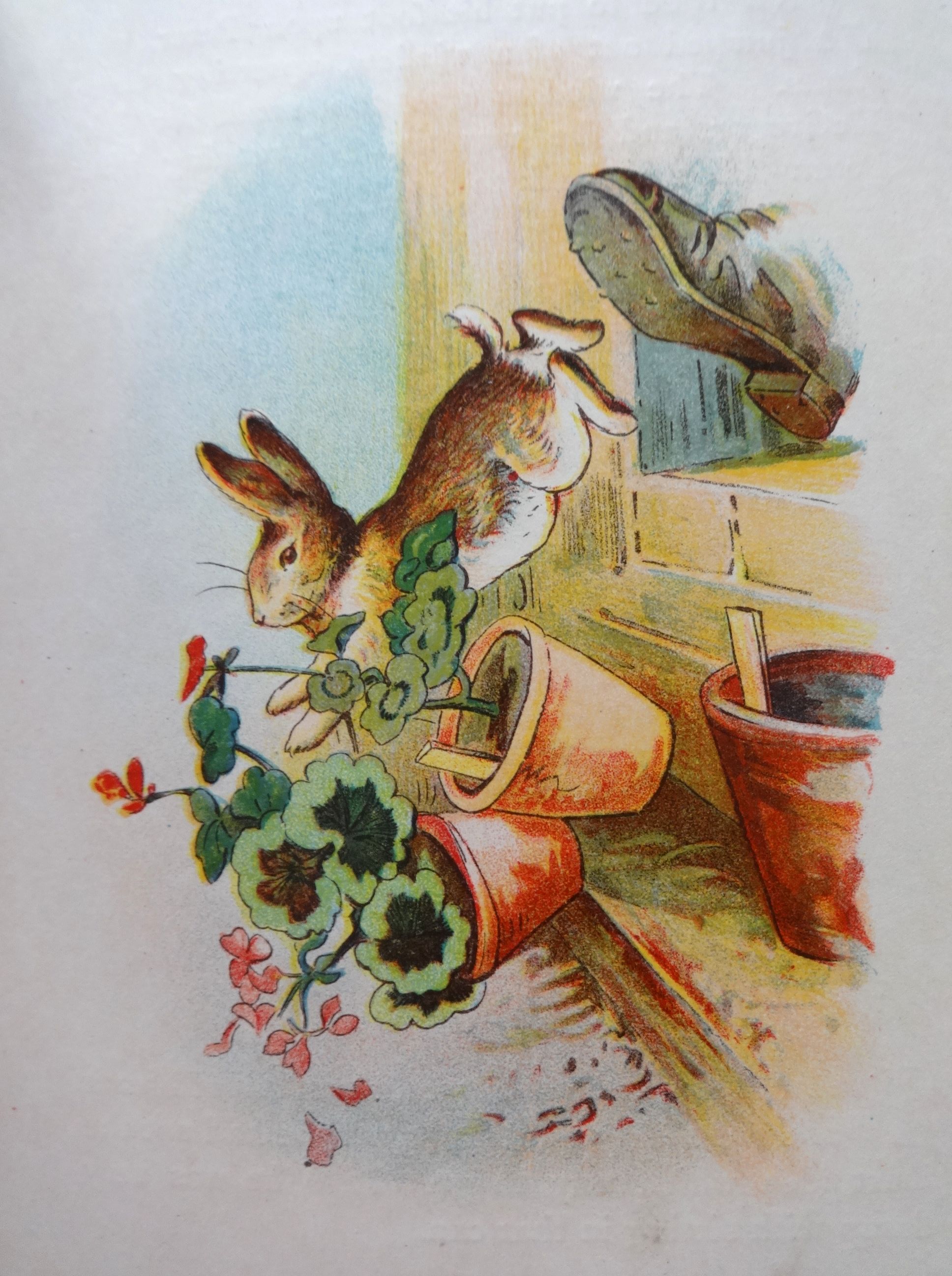 1908 Story of PETER RABBIT Book, Hayes Lithographing Co