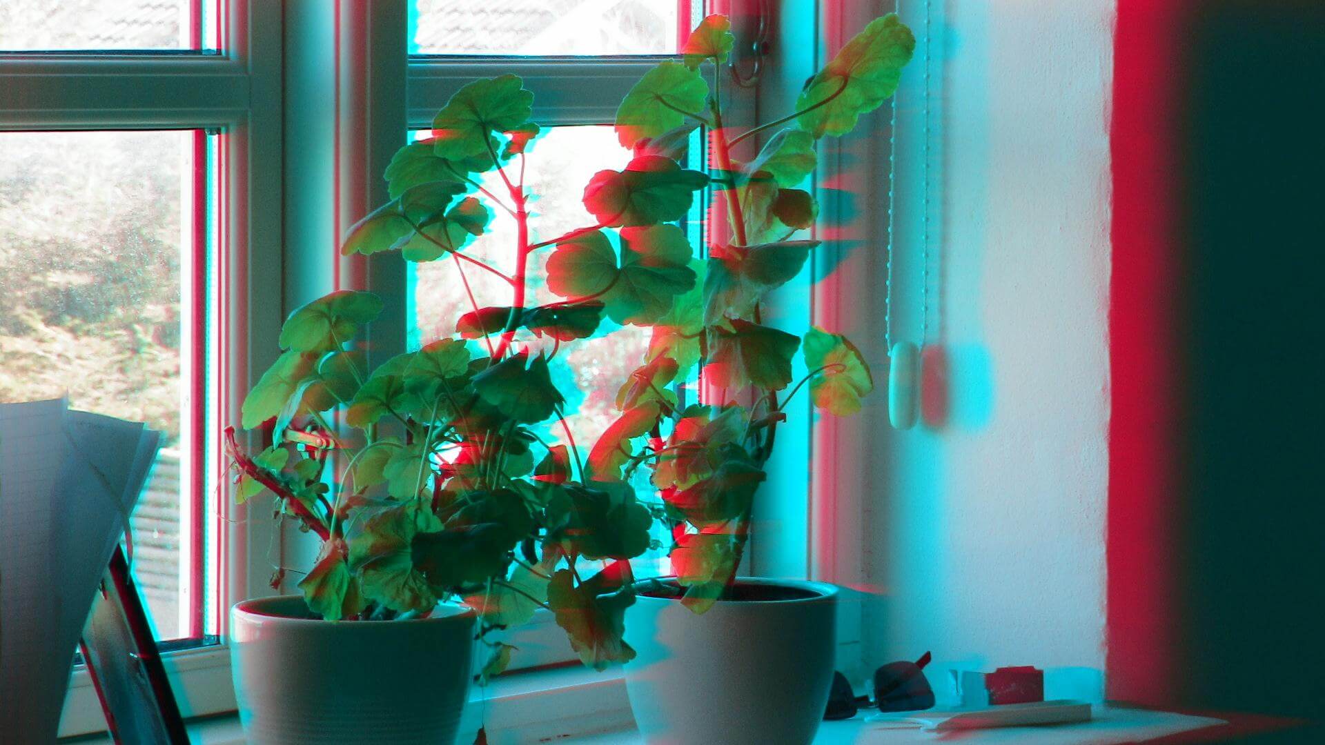 Make Your 3D Glasses and See These Awesome 3D Images