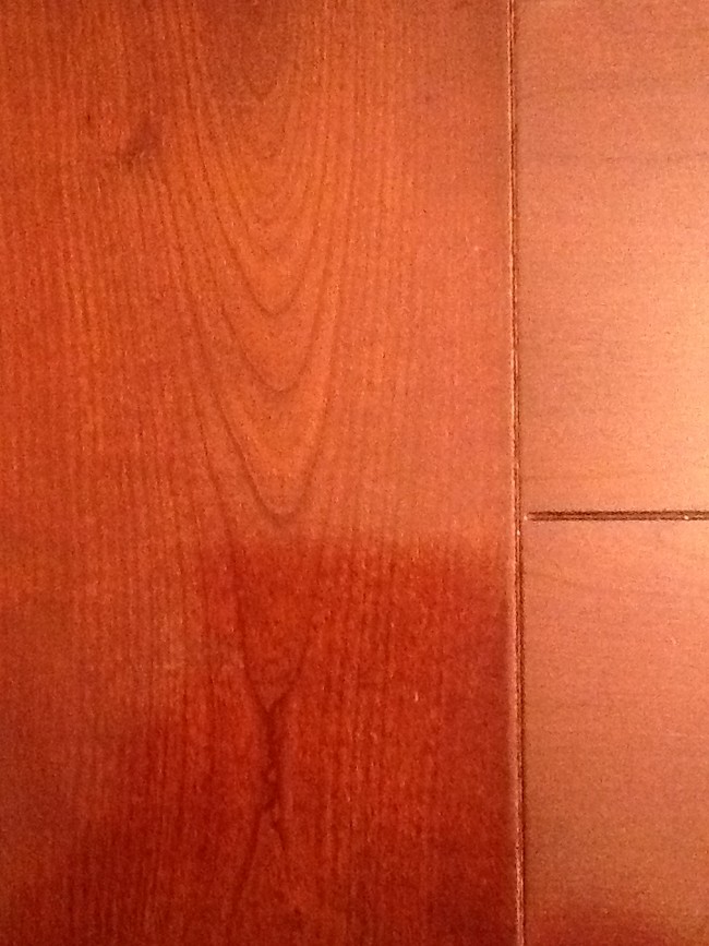 Here's How You Can Remove Those Ugly Water Marks On Your Fur