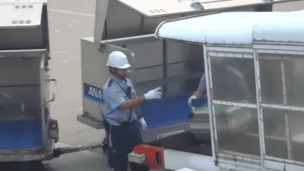 This Is How Japanese Baggage Handlers Treat Your Luggage At