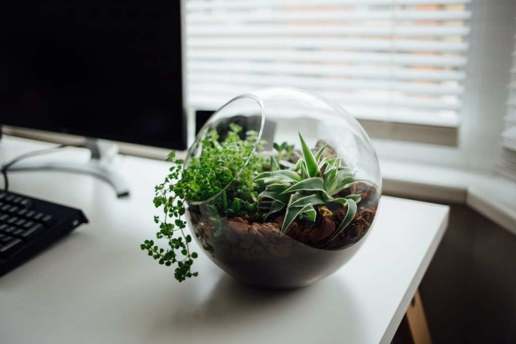 3 Ways To Go Green In The Office