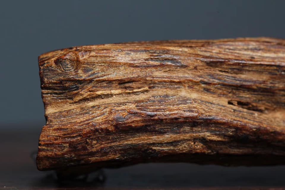 This Is The World's Rarest Form Of Wood And It Is Ridiculo