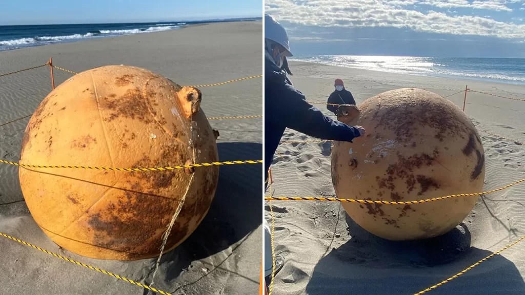 Turns Out The Mystery Object On The Japanese Beach Was Somet