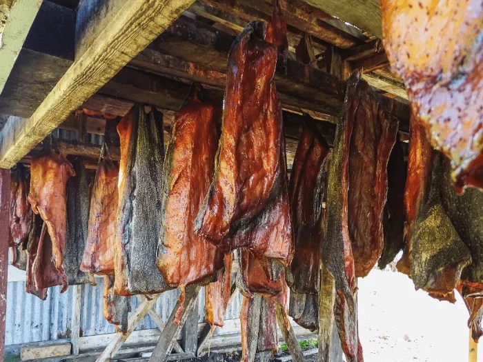 24 Unique Dishes of Icelandic Cuisine; 7 Is Delicious!