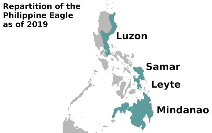 Range of the Philippine Eagle Wondering Maps