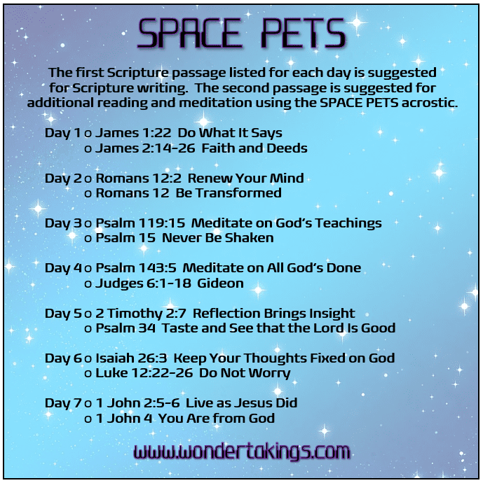 SPACEPETSScripture Wondertakings