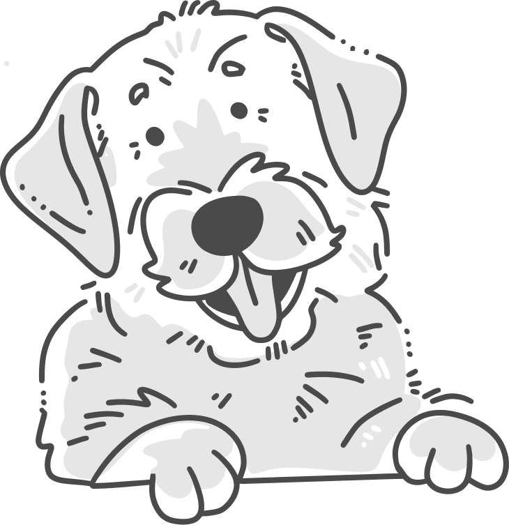 InHome Pet Health Certificates For Travel WonderVet