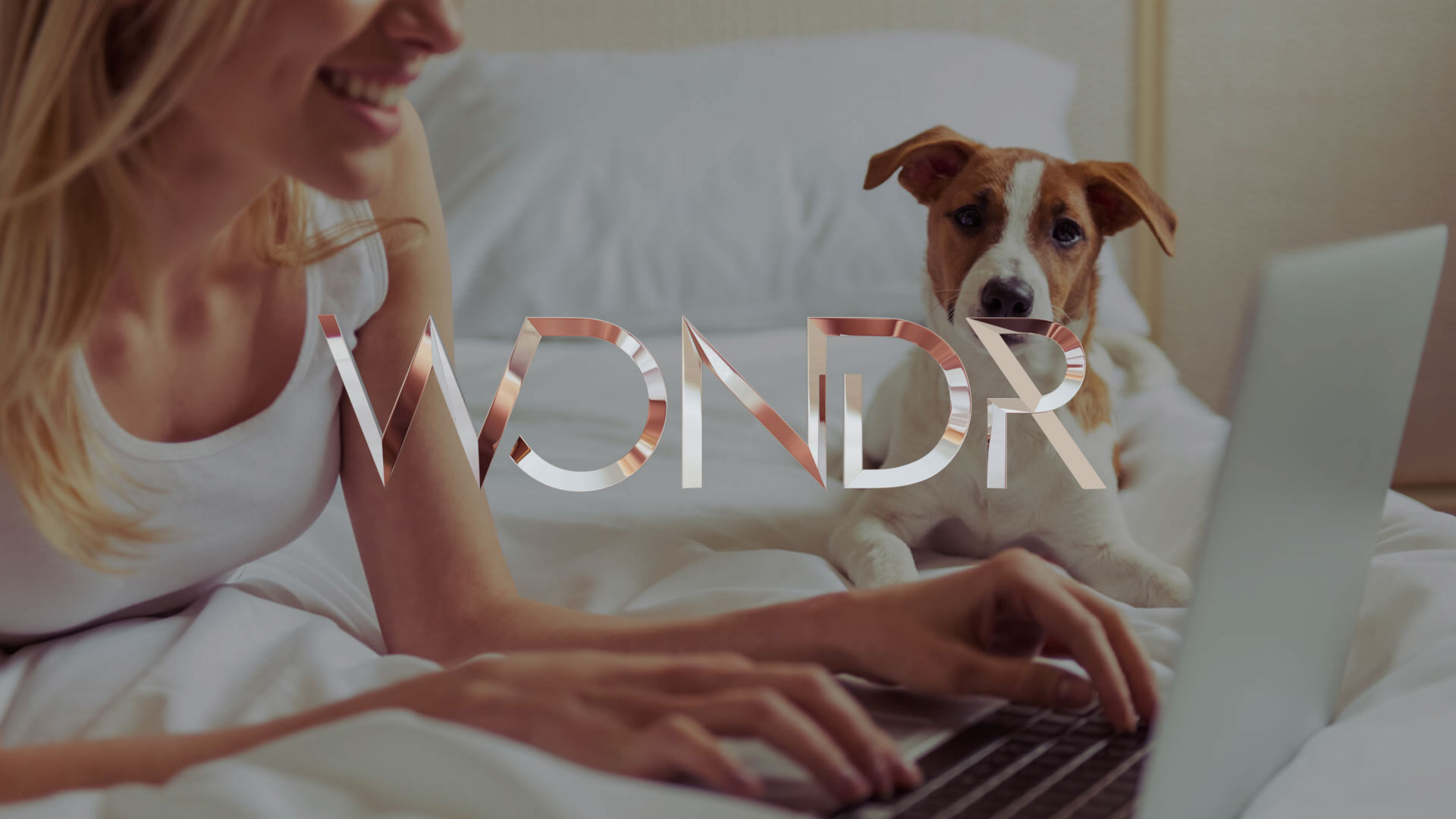 Pet Drugs Online WONDR A Digital Product Practice