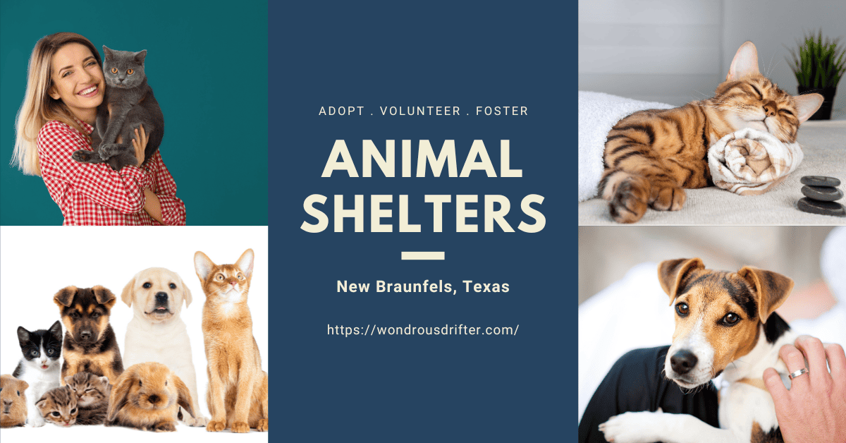 Animal Shelters in New Braunfels, Texas Wondrous Drifter