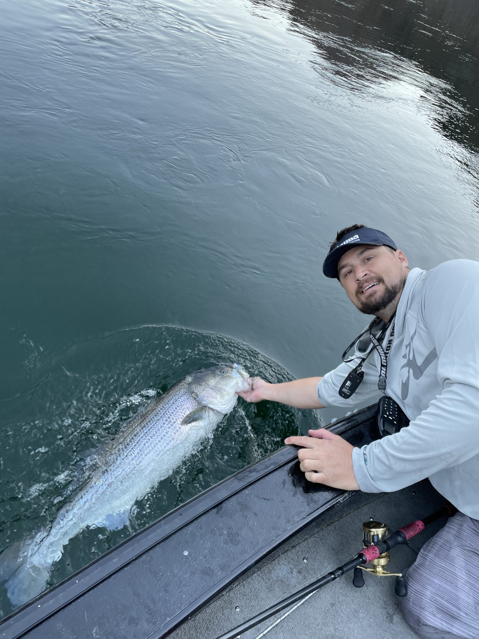 Willow Beach, Colorado River anglers beat the heat for stripers and