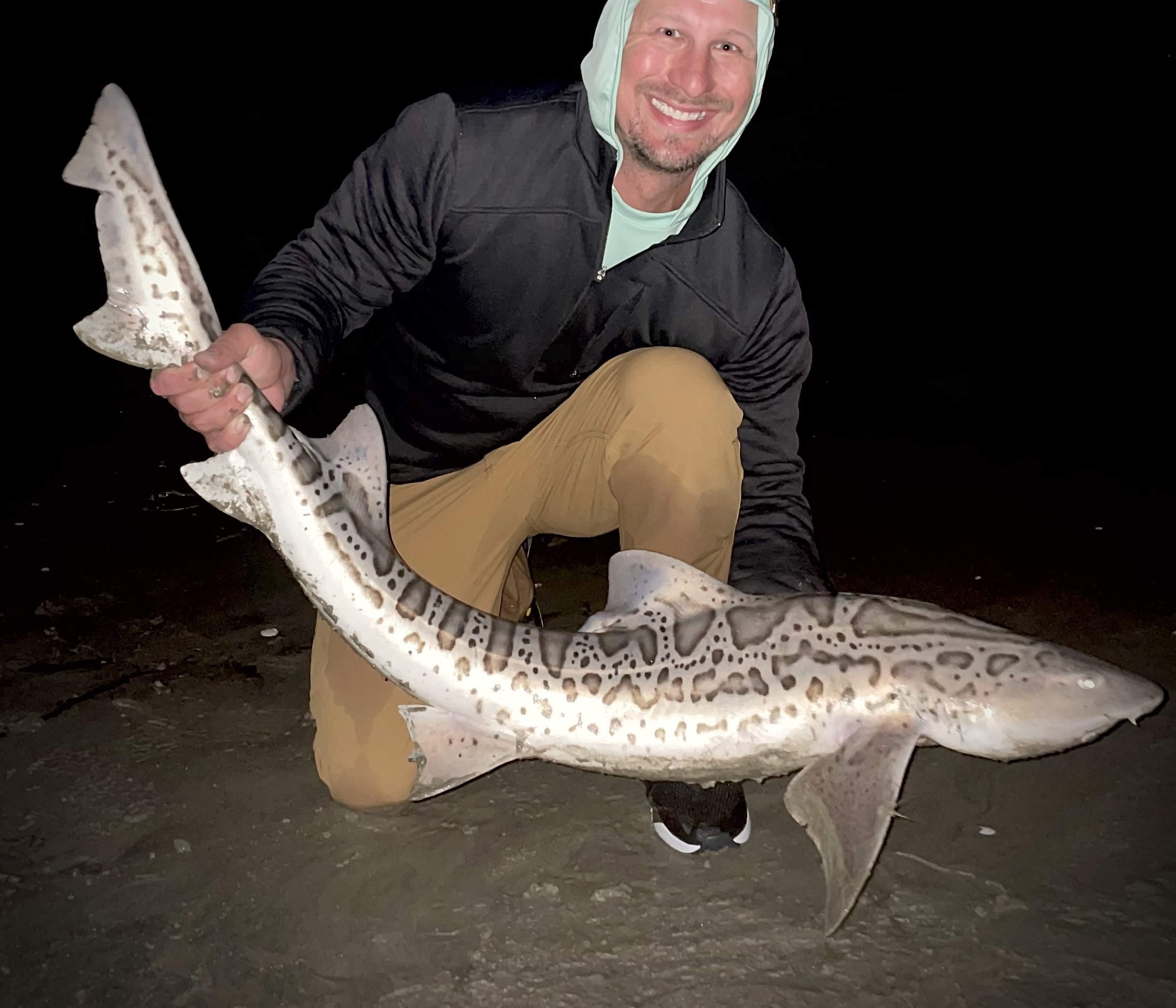 Shark fishing – Tackle, baits and tactics for targeting big leopard