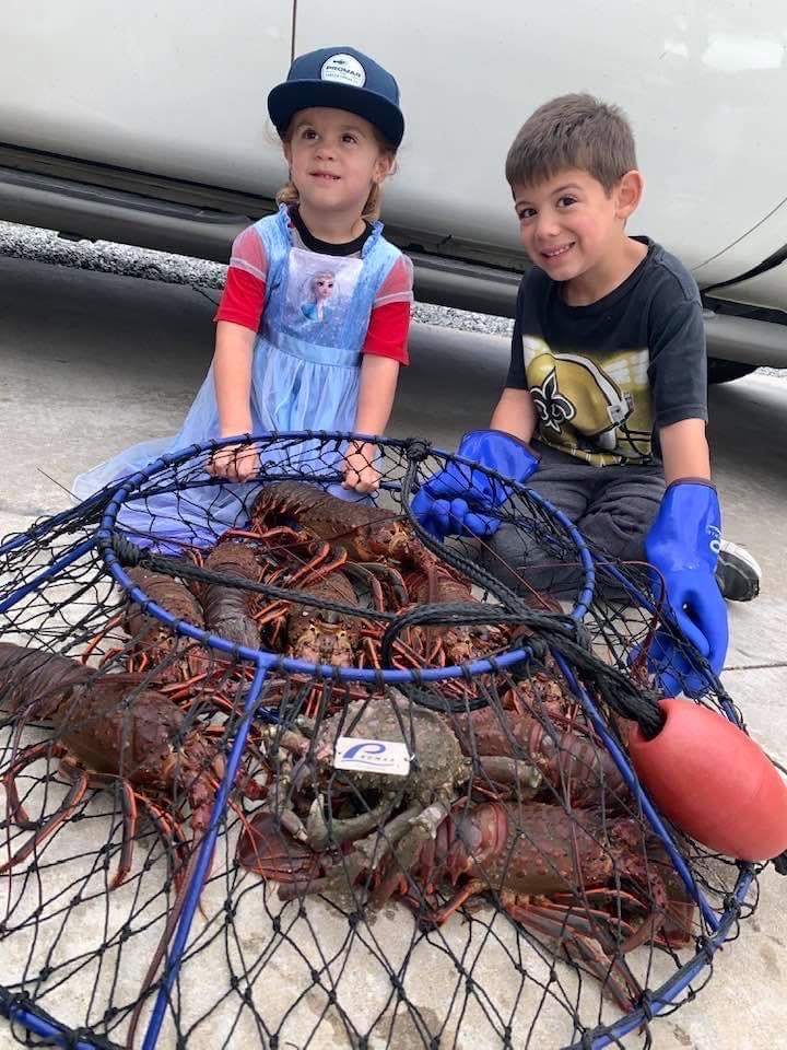 Lobster season Pro tips and tactics to catch more bugs this opener