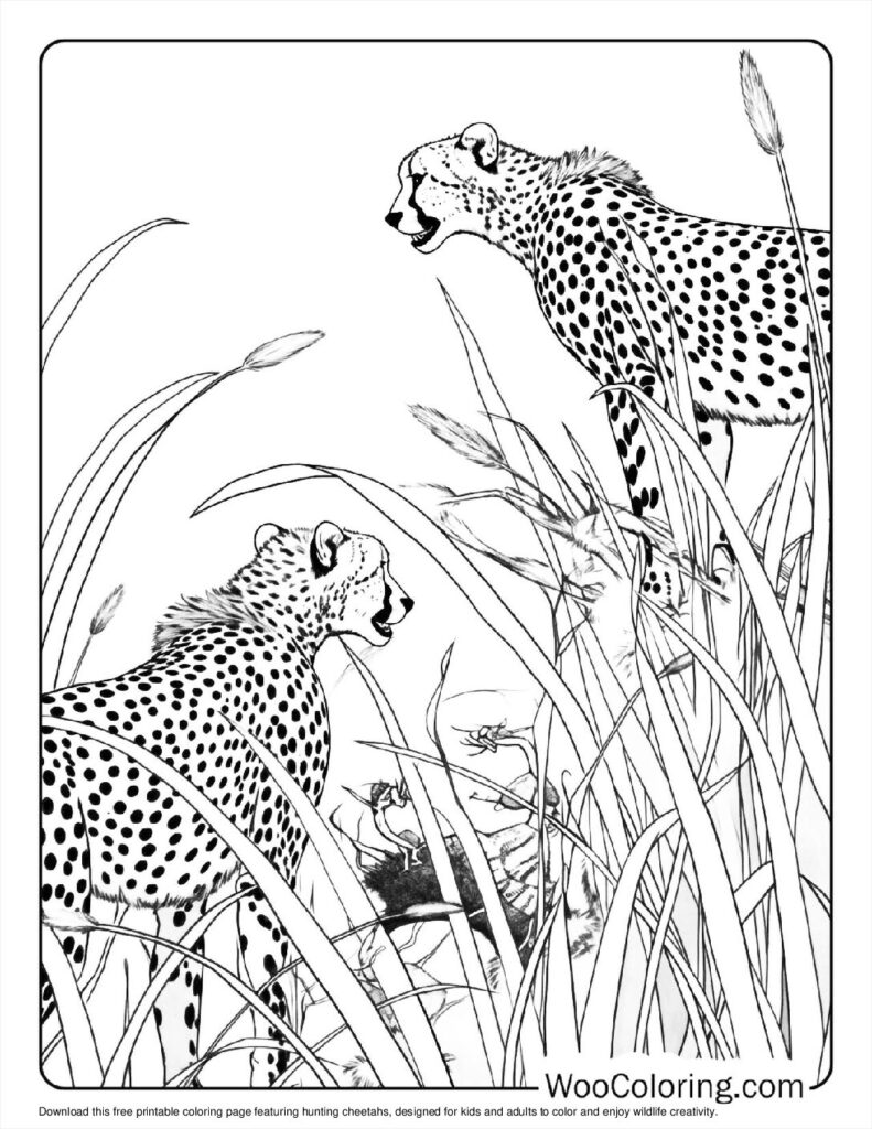100+ Cheetah coloring pages (Free PDF To Print) Woo Coloring