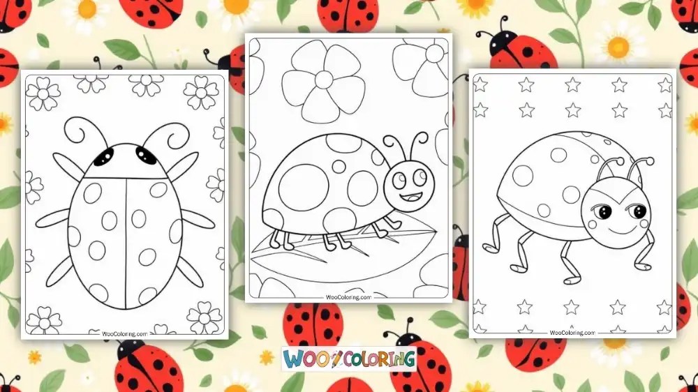 Kid Color Pages Ladybug Life Cycle Ladybug Life Cycle