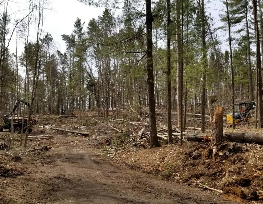 Wisc. Campground Damaged By ‘19 Storm May Reopen