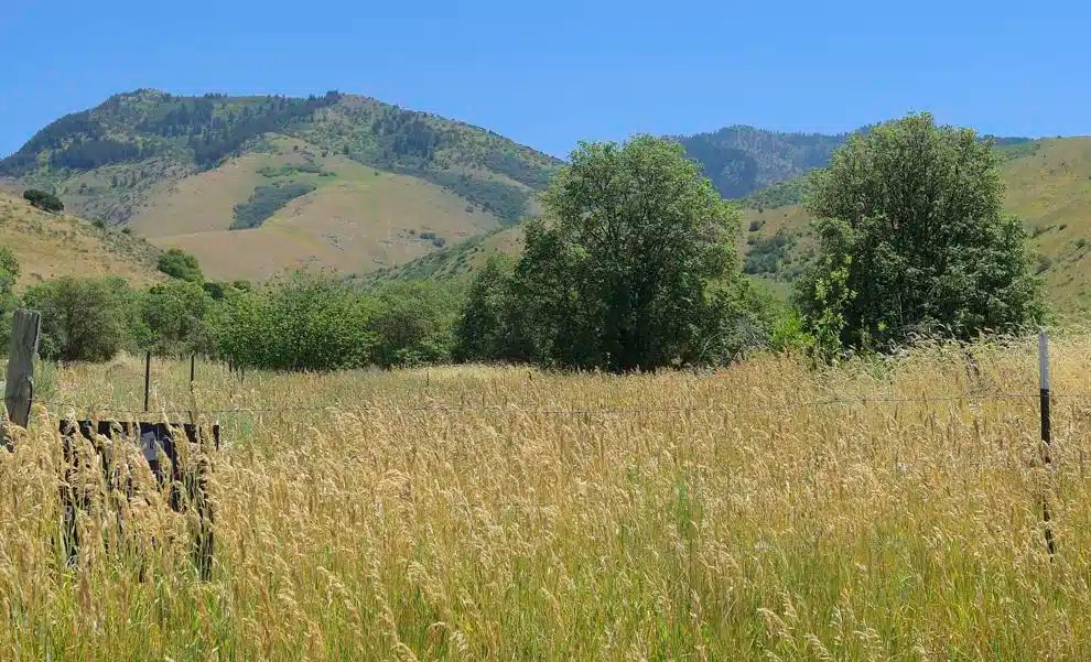 Utah Developer is Again Issued Permit for Park Proj. Woodall's