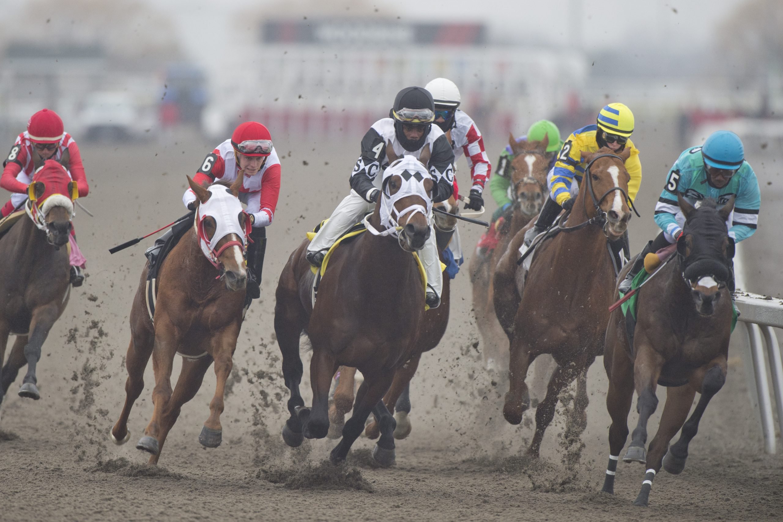 Woodbine leaders post strong numbers over 2023 meet Woodbine leaders