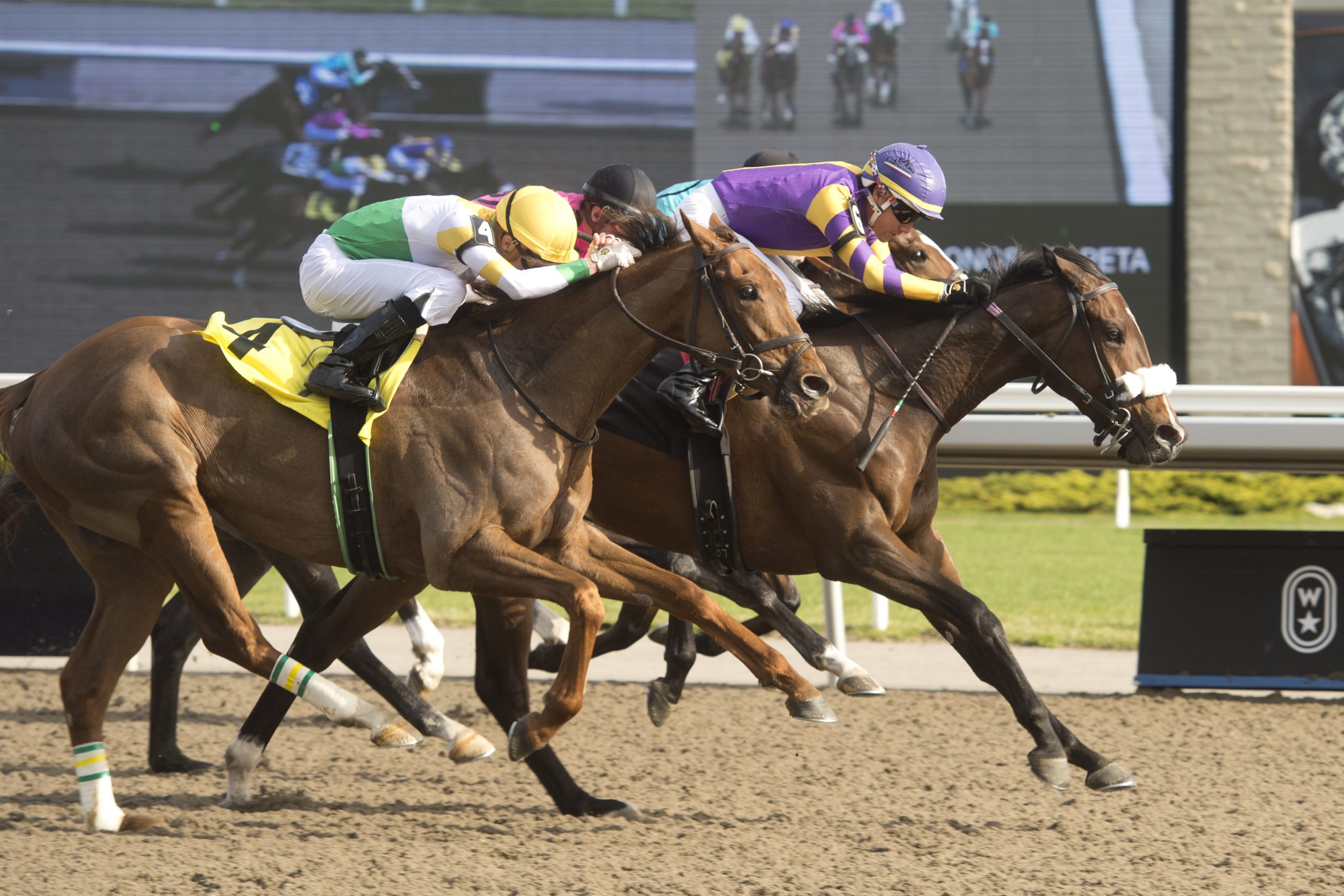 Woodbine announces King’s Plate probables Woodbine Racetrack