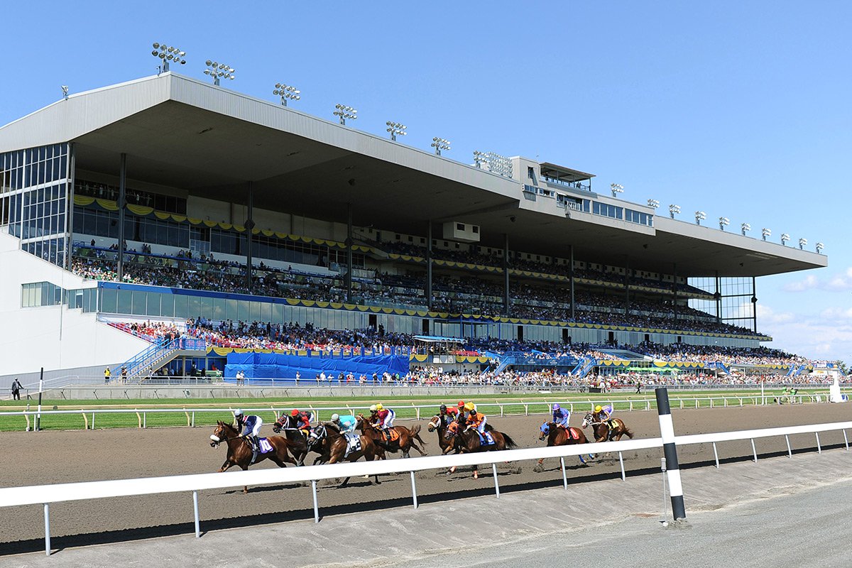 Experiences Woodbine Racetrack