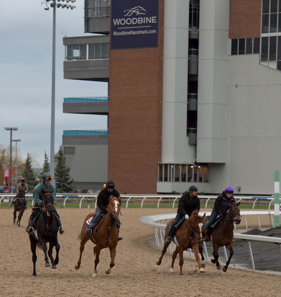 Woodbine’s live Thoroughbred racing season begins Saturday Woodbine