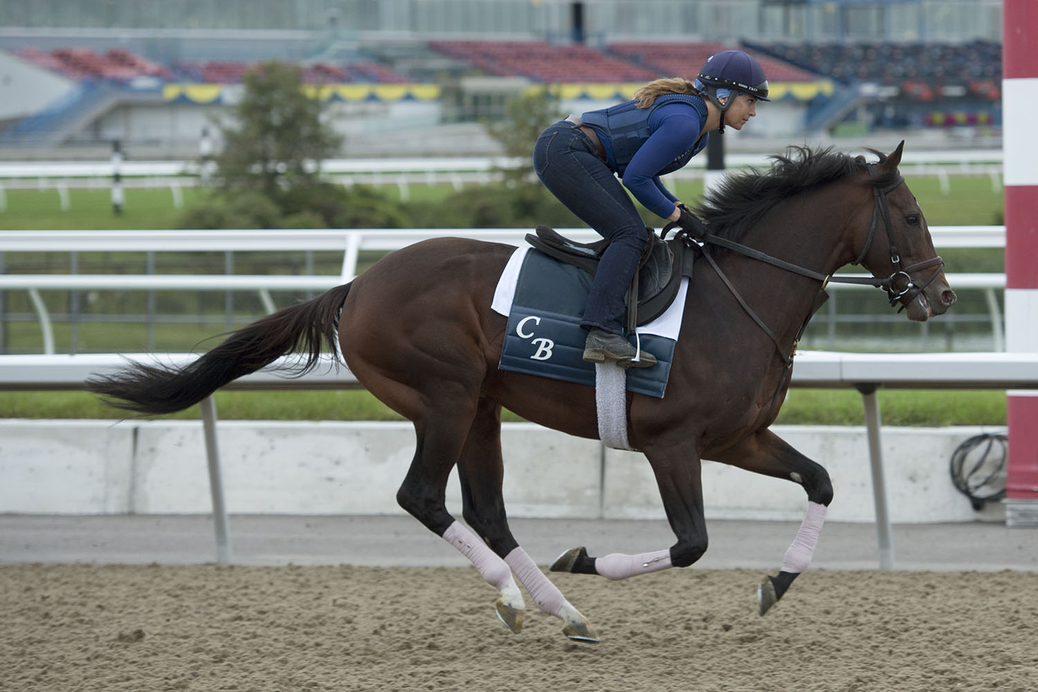 In Pictures A Memorable Ricoh Woodbine Mile Woodbine Racetrack